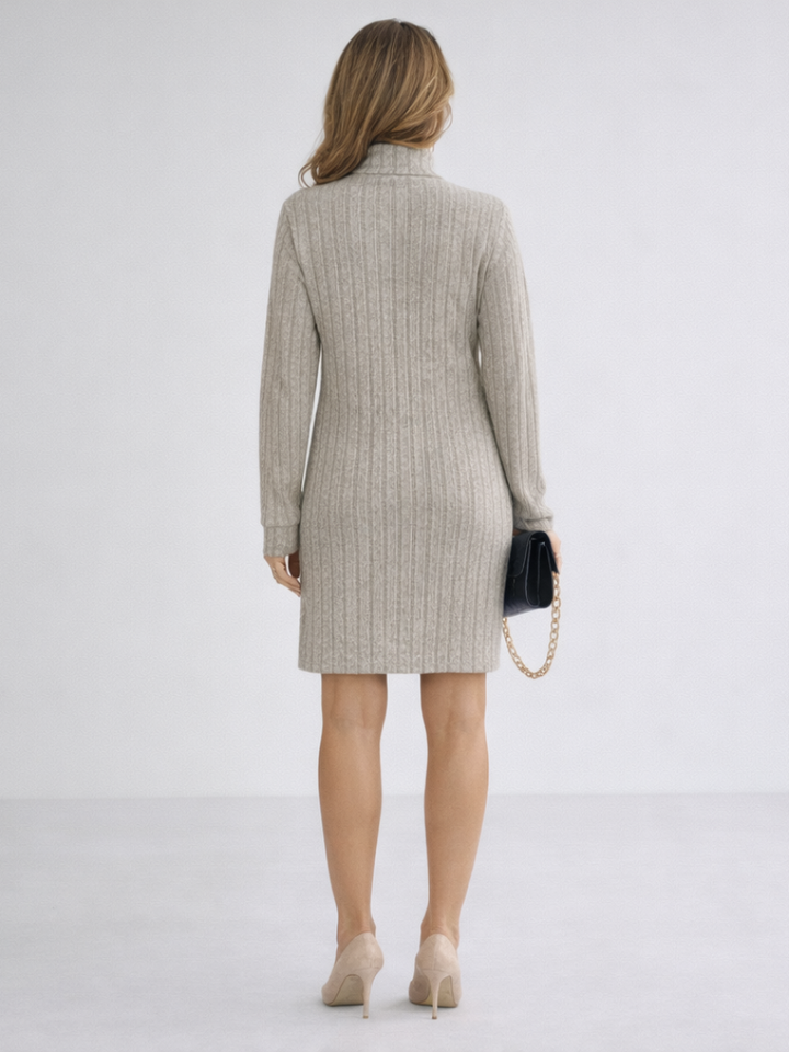 Margot | Ribbed Knit Turtleneck Dress