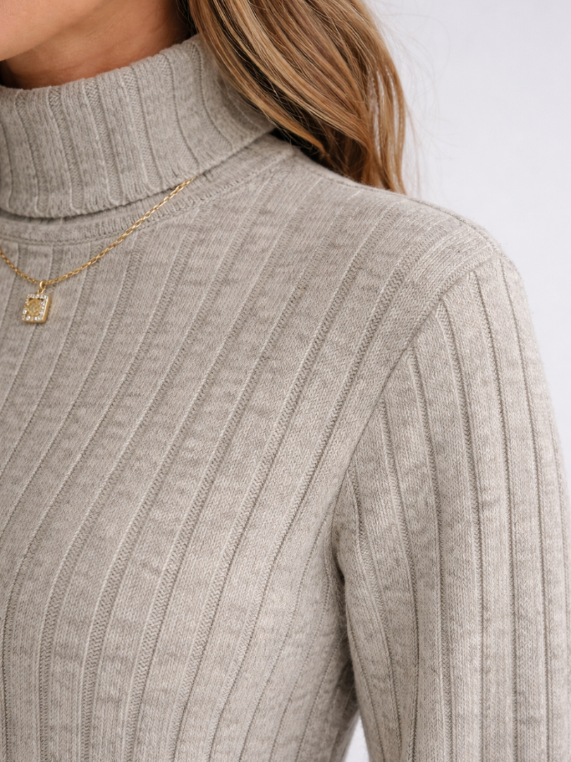 Margot | Ribbed Knit Turtleneck Dress